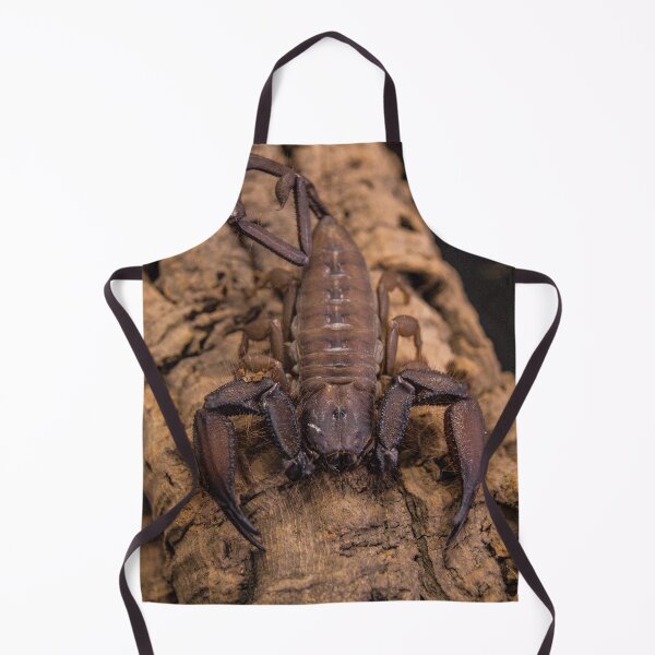 Aperçu de l'œuvre Scorpion de roche plate créée et vendue par Adaptive Boneyard.