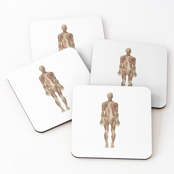 Item preview, Human anatomy | male anatyomy | old anatomy picture  designed and sold by KARTICK DUTTA.