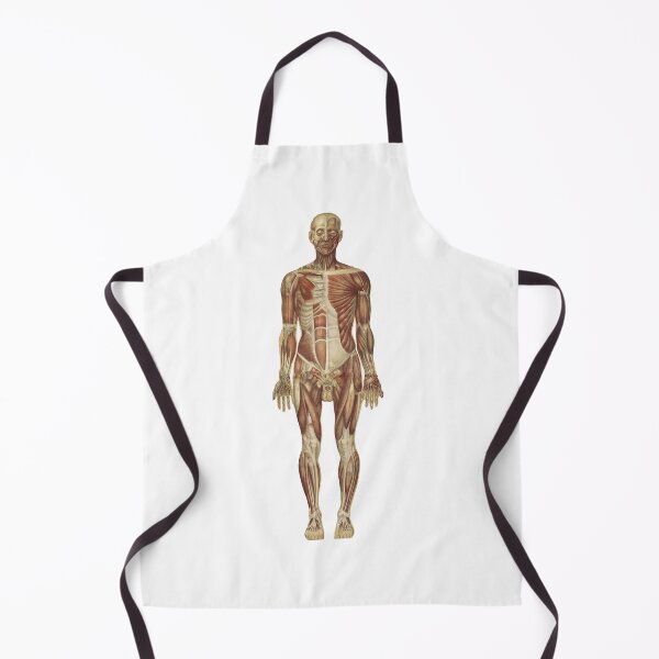 Item preview, Human anatomy | male anatyomy | old anatomy picture designed and sold by KARTICK DUTTA.