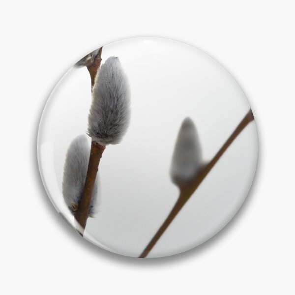 Item preview, Pale pale blossom. Pussy willows designed and sold by Jouko Lehto Photography.