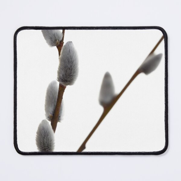 Item preview, Pale pale blossom. Pussy willows designed and sold by Jouko Lehto Photography.