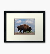 LOVELY DAY FOR A WALK! Framed Print