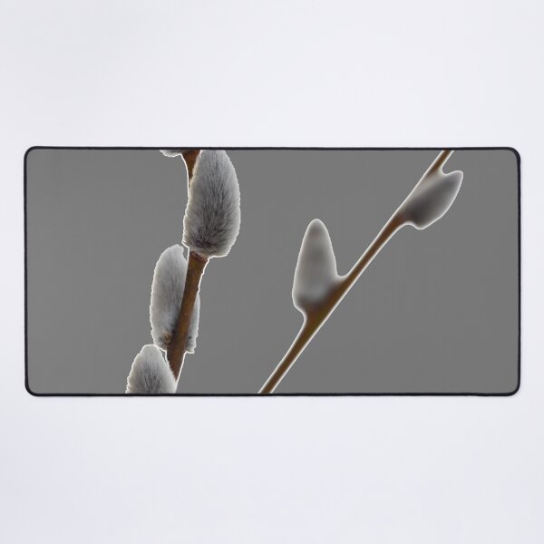Item preview, Pussy willows transparent designed and sold by Jouko Lehto Photography.