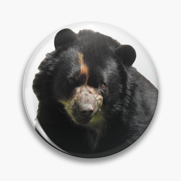 Item preview, Andean Bear designed and sold by andrew82984.