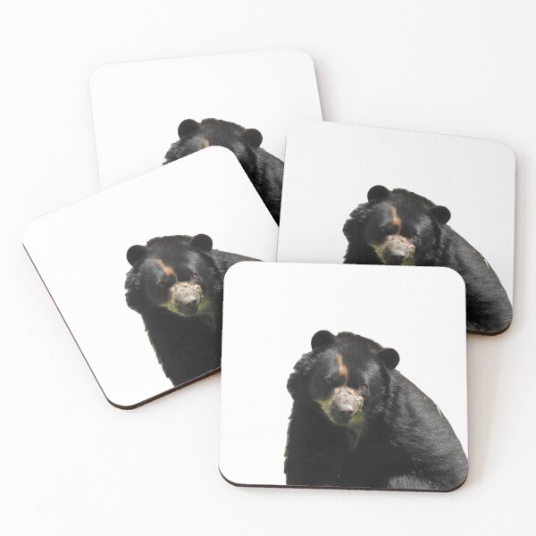 Item preview, Andean Bear designed and sold by andrew82984.