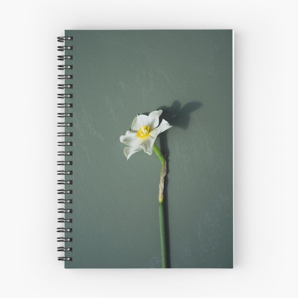 Item preview, Single narcissi designed and sold by gailgriggs.