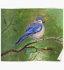 Bird - Spring - Oil Painting Poster