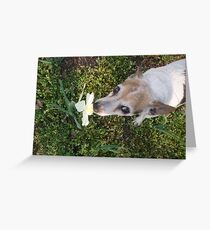 Max Greeting Card