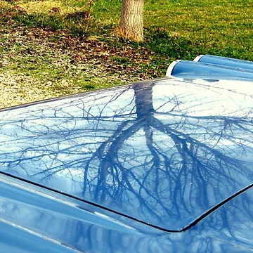 Artwork thumbnail, Tree Trunk by Diane Arndt