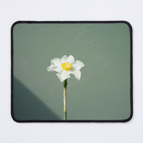 Item preview, Narcissus with shadow designed and sold by gailgriggs.