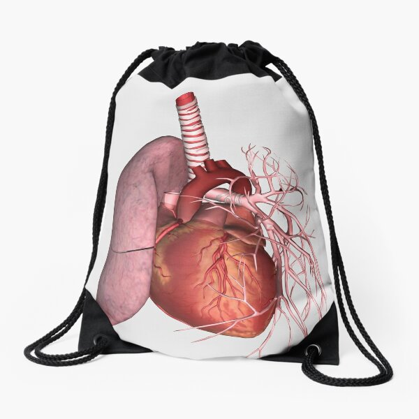 Medical illustration detailing thoracic outlet syndrome. Drawstring Bag  for Sale by StocktrekImages