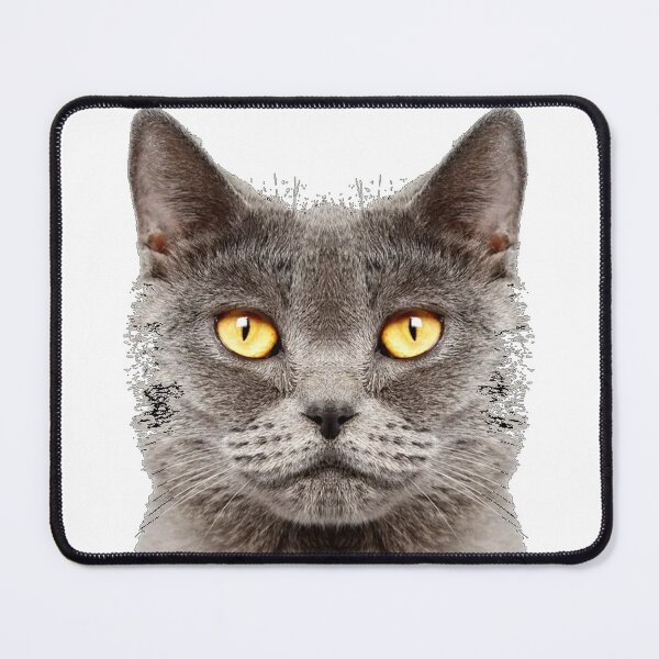 Item preview, Cat designed and sold by MED82.
