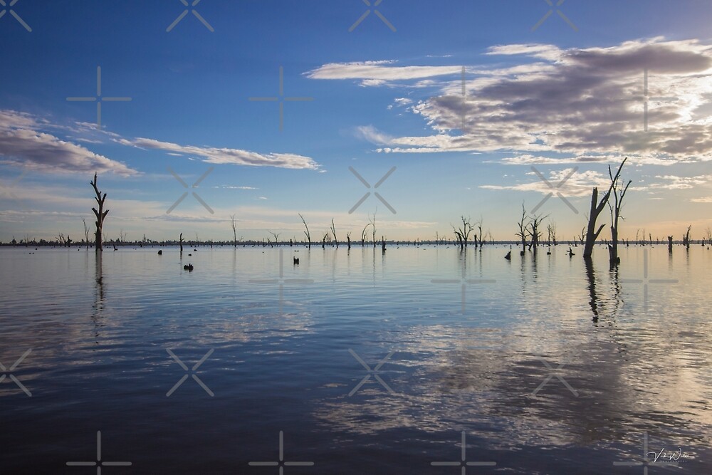 Lake Mulwala, Yarrawonga, Victoria, Australia. by Vicki Walsh