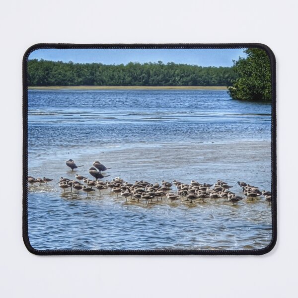 Item preview, The Gulls Rest at Noon designed and sold by Barbara Espinosa.