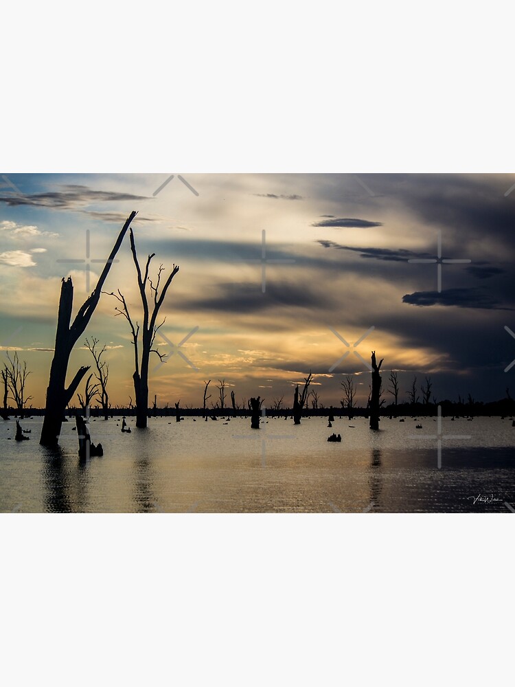 "Lake Mulwala, Yarrawonga, Victoria, Australia." Poster for Sale by