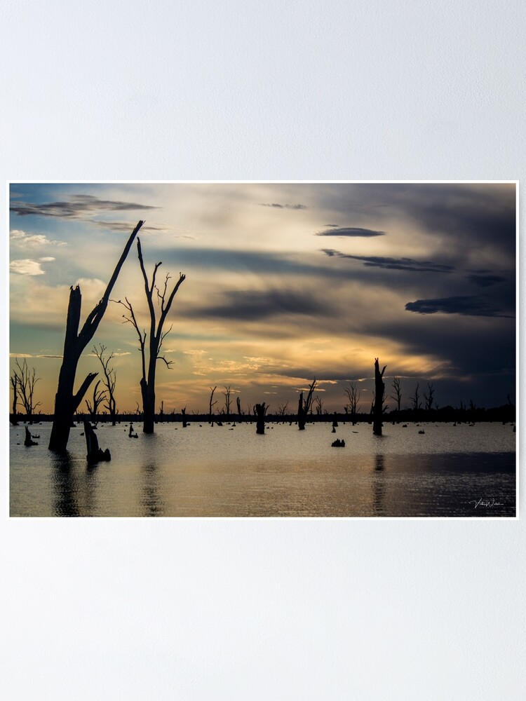 "Lake Mulwala, Yarrawonga, Victoria, Australia." Poster for Sale by