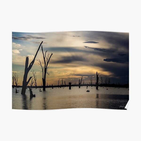 "Lake Mulwala, Yarrawonga, Victoria, Australia." Poster for Sale by