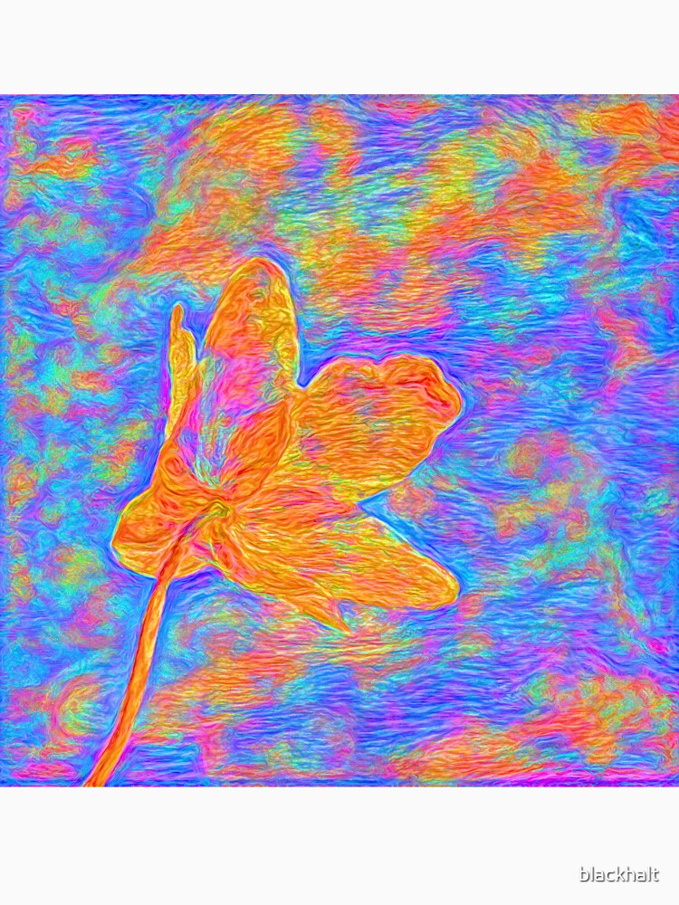 Flower by blackhalt