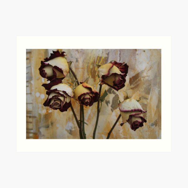 REDREAMING ROSES Art Print