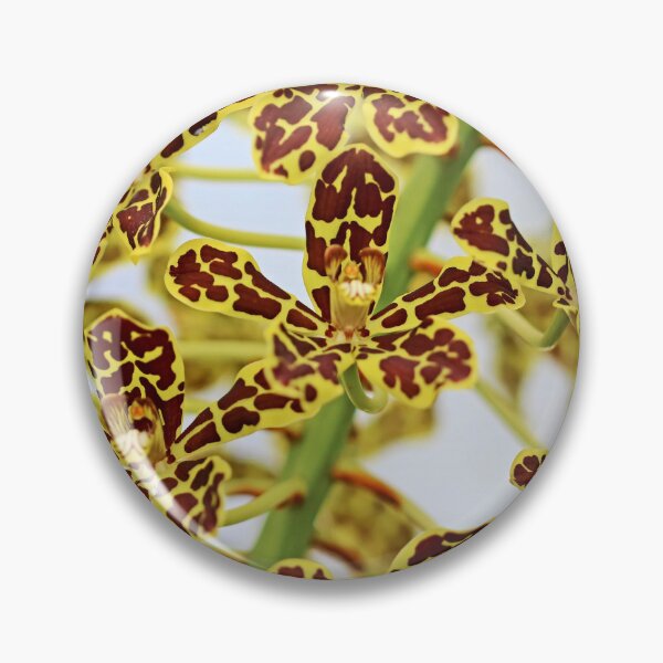 Item preview, Releasing Life's Burdens designed and sold by Michiale.