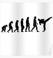 Karate Kickboxing Evolution Poster