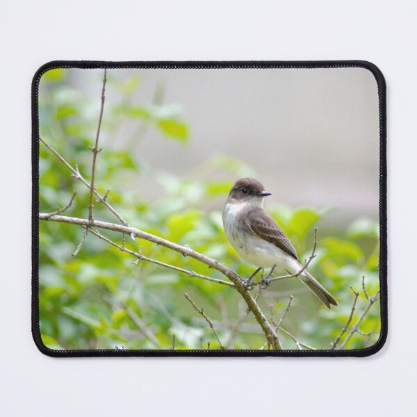 Item preview, Perching Bird designed and sold by MixinMadness.