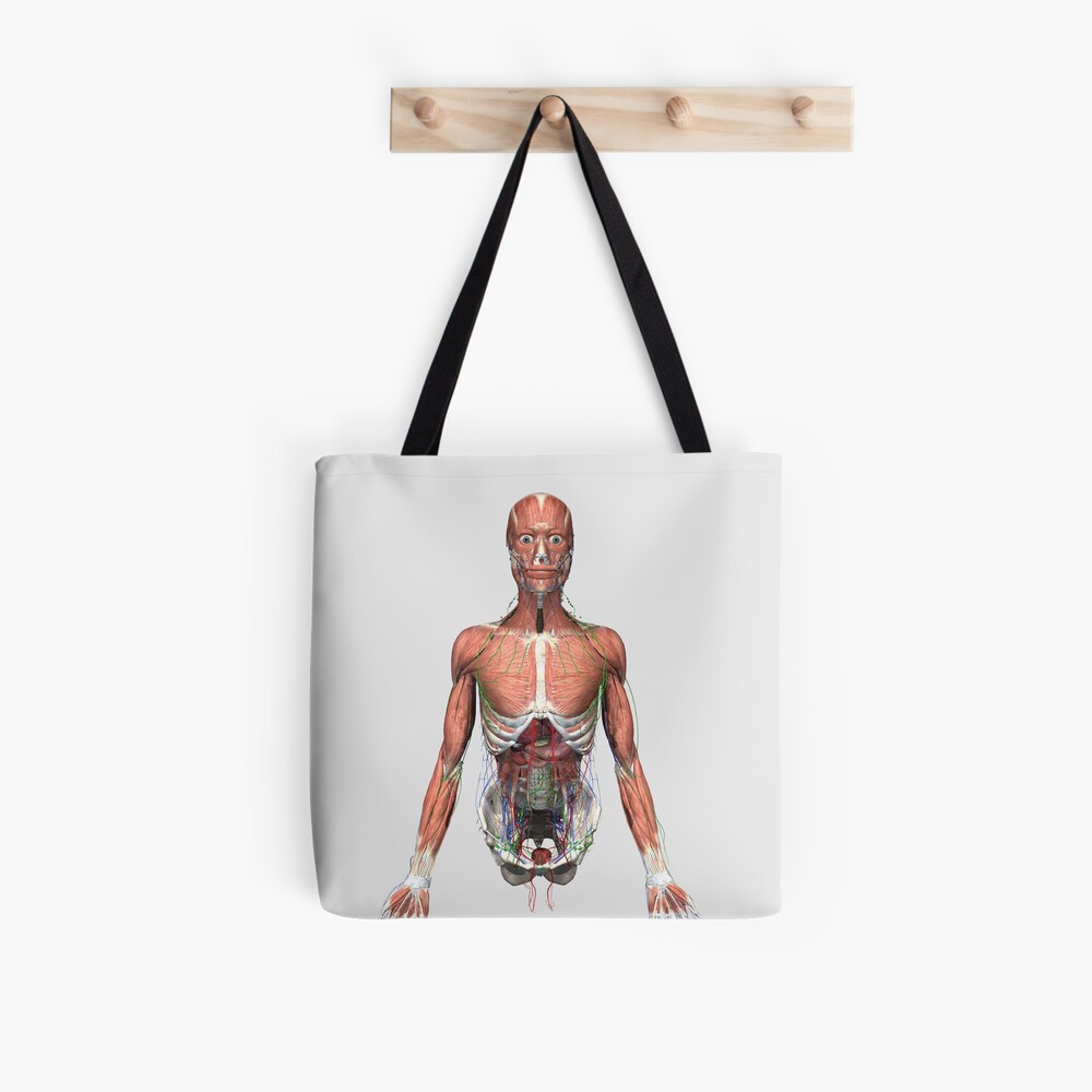 Anatomy of human pelvic bone. Tote Bag for Sale by StocktrekImages