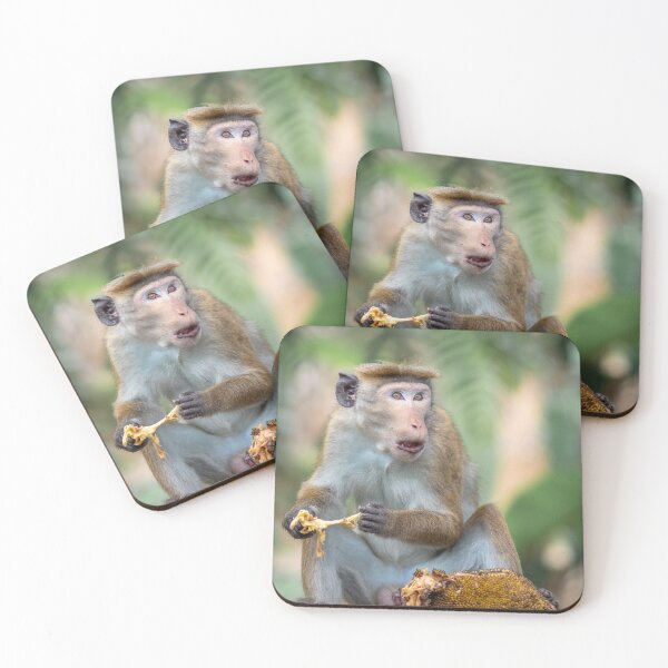 Item preview, Toque mono macaco comiendo fruta Ella Sri Lanka designed and sold by PhotosByVille.