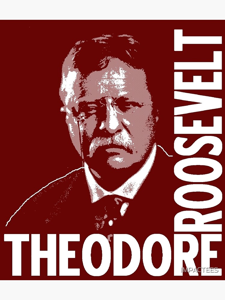 Theodore Roosevelt 26th Us President Framed Art Print For Sale By Impactees Redbubble 2175