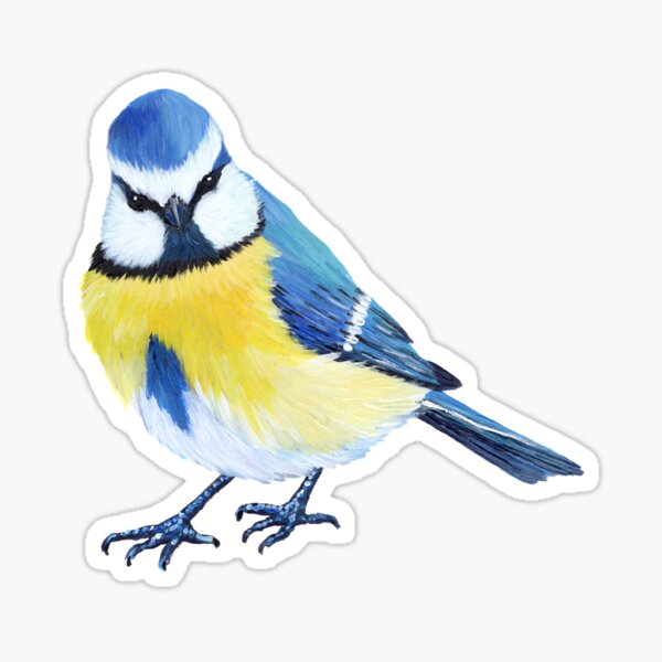 Great Tit Stickers for Sale