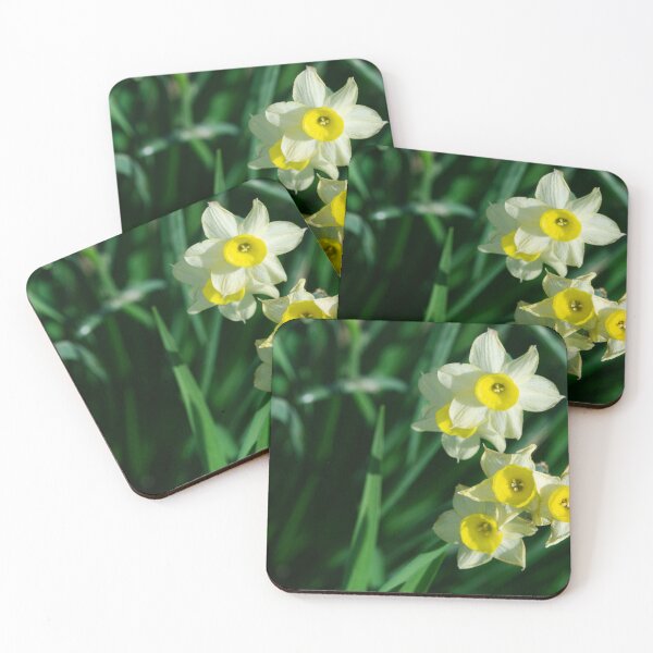 Item preview, Aesthetic Daffodil flowers | Early spring closeup designed and sold by CarolinaReina.