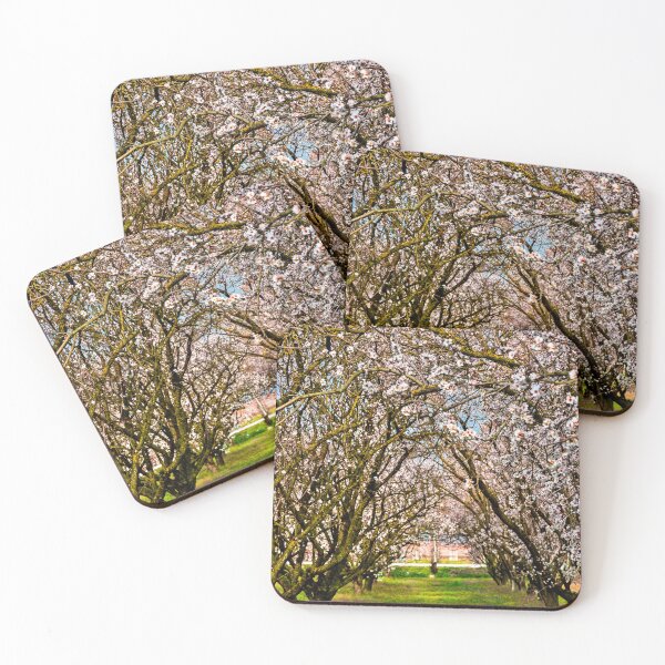 Item preview, Here comes the spring again designed and sold by Hercules Milas.