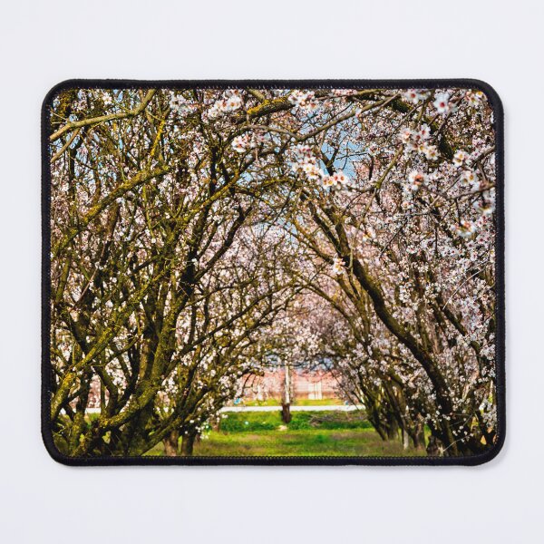 Item preview, Here comes the spring again designed and sold by Hercules Milas.