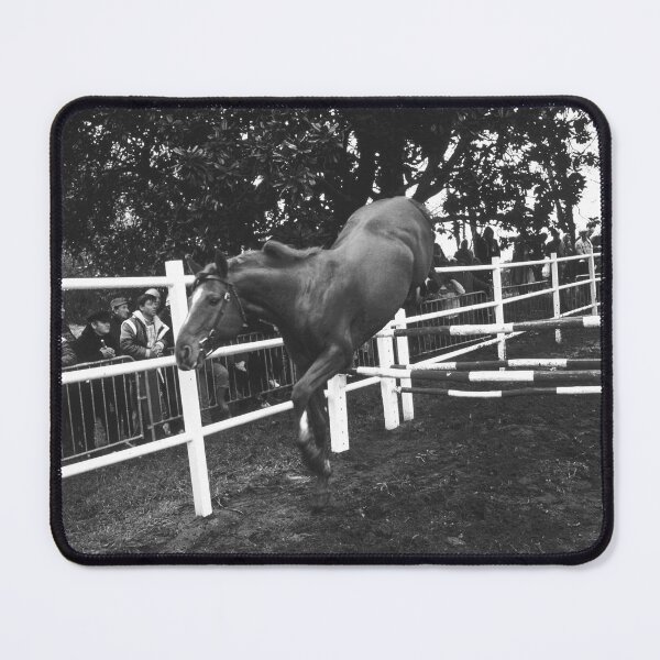 Item preview, r649/ silver time " Open day at Haras de Saintes (17) France 1981 - Journée porte Ouverte au Haras de Saintes " Okaio Créations Olavia-Olao designed and sold by o.okaïo.