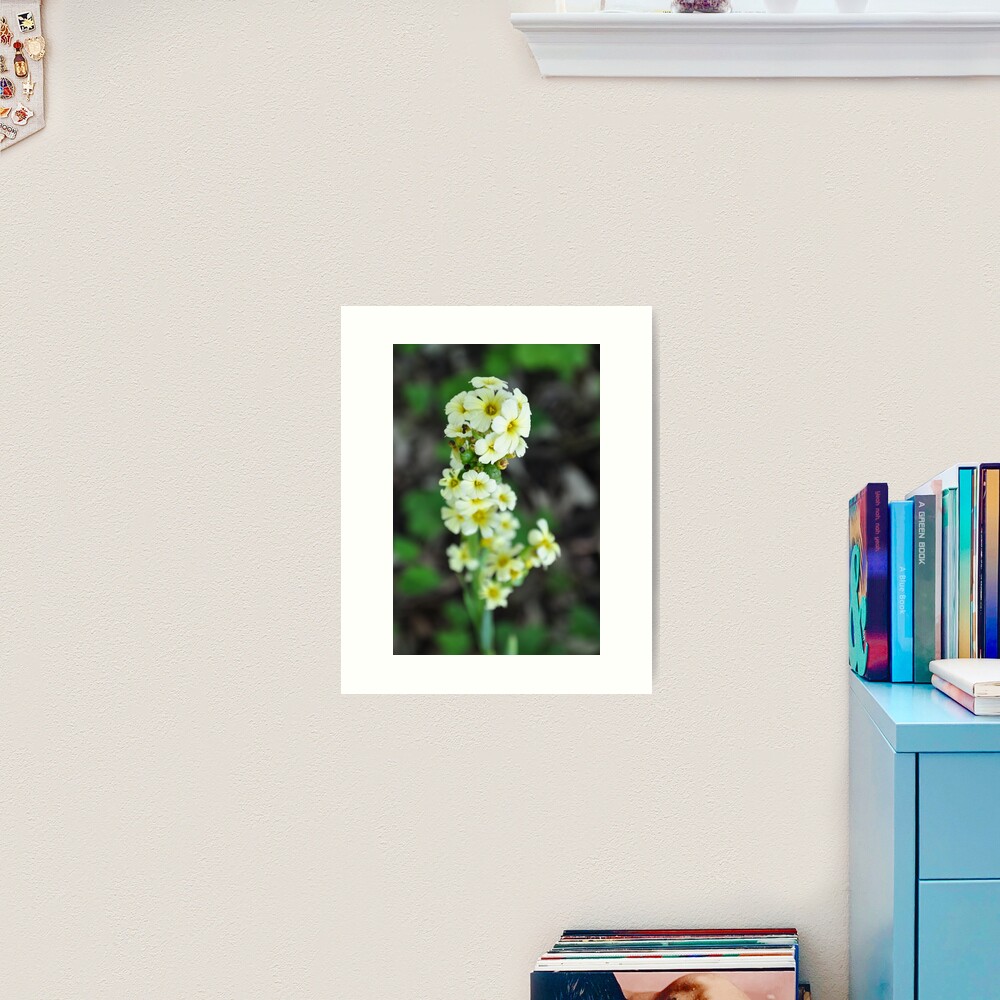 Flowers Art Print