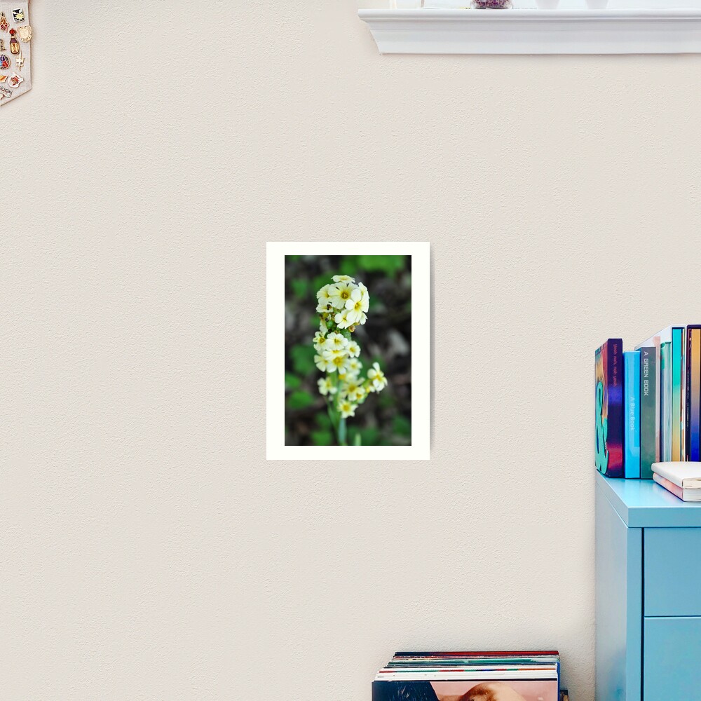 Flowers Art Print