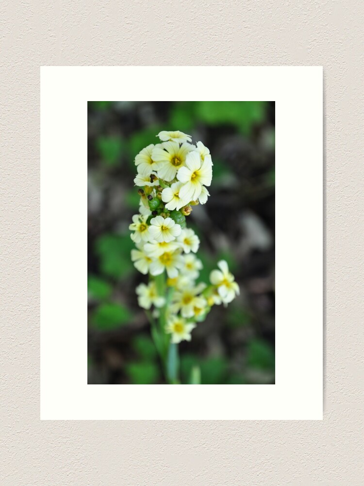 Alternate view of Flowers Art Print