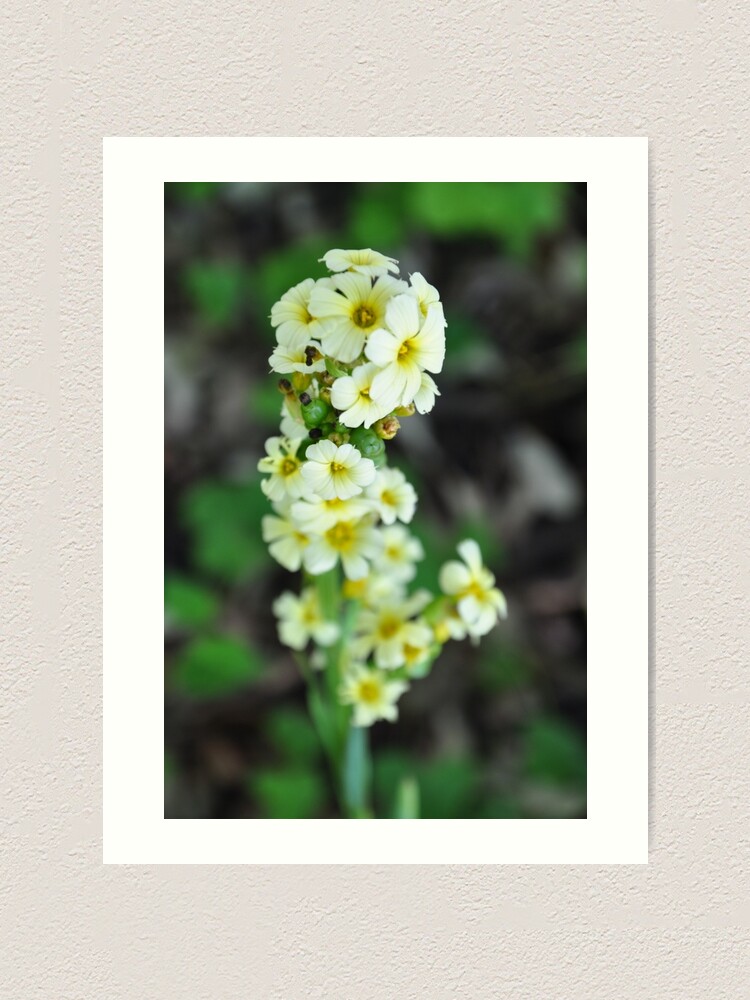 Alternate view of Flowers Art Print