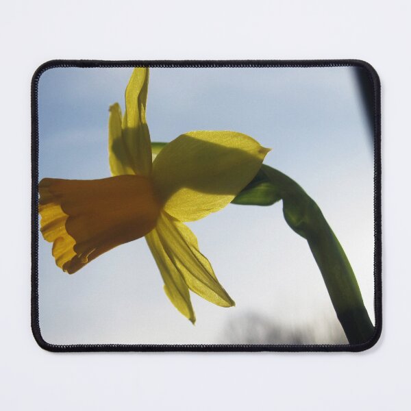 Item preview, Daffodil 1 designed and sold by Jaeda DeWalt.