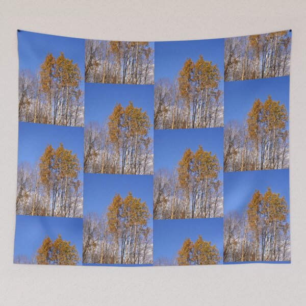 Item preview, Silver Birch Trees designed and sold by Shulie1.