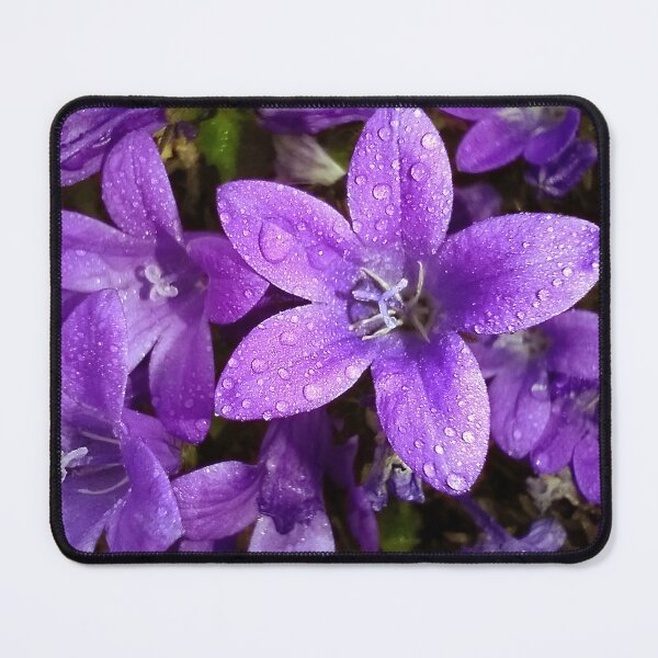 Item preview, Violet Flowers 2 designed and sold by Jaeda DeWalt.