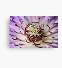 Soft Centered Canvas Print