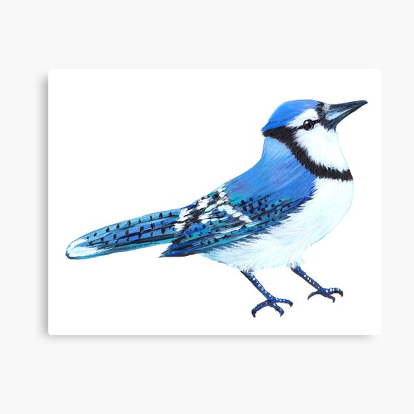 Cardinal Poster Canvas Blue Jay Bird Those We Love Don't Go Away They Fly  Beside Us Every Day Horizontal Poster Canvas Home Decor No Frame or 0.7