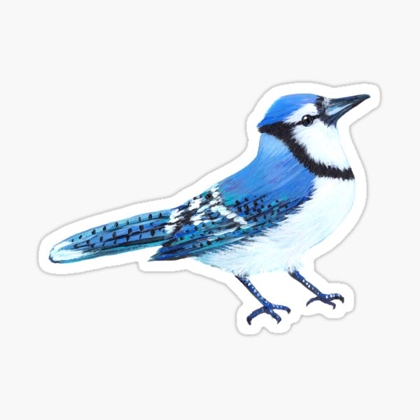 Blue Jay and Cardinal Drawing by Ismael Aguilar - Pixels