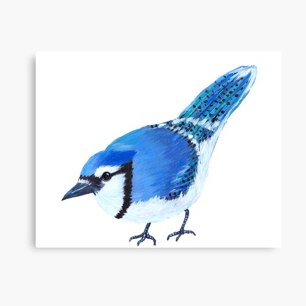 Blue Jay Bird Hugging Northern Cardinal Art Print by creative-designs