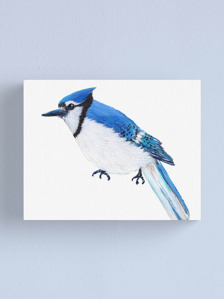 Bluejay Drawing Cute Image Library Download - Drawing - Free