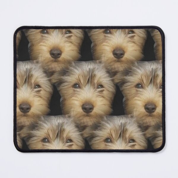 Item preview, Yorkshire designed and sold by Dogs and Pets.