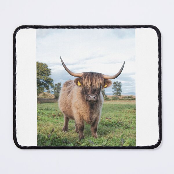 Item preview, Highland Cow  designed and sold by JwoodPhotos.