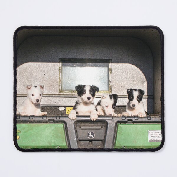 Item preview, Border collie puppies designed and sold by JwoodPhotos.