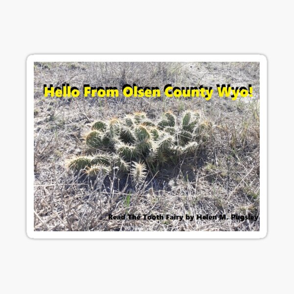 Hello From Olsen County Wyo! Sticker
